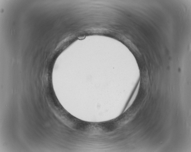 X0000086110207200704202314