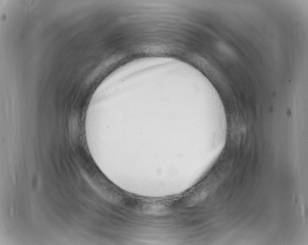 X0000086110208200704202314