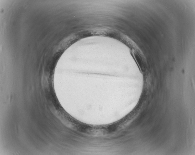 X0000086110209200704202314