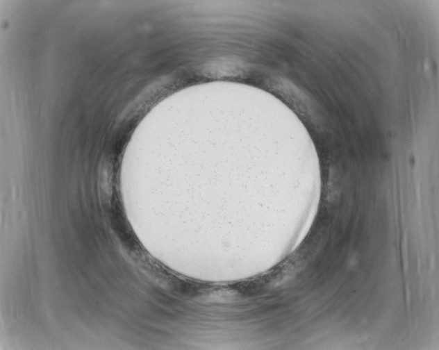 X0000086110210200704202314