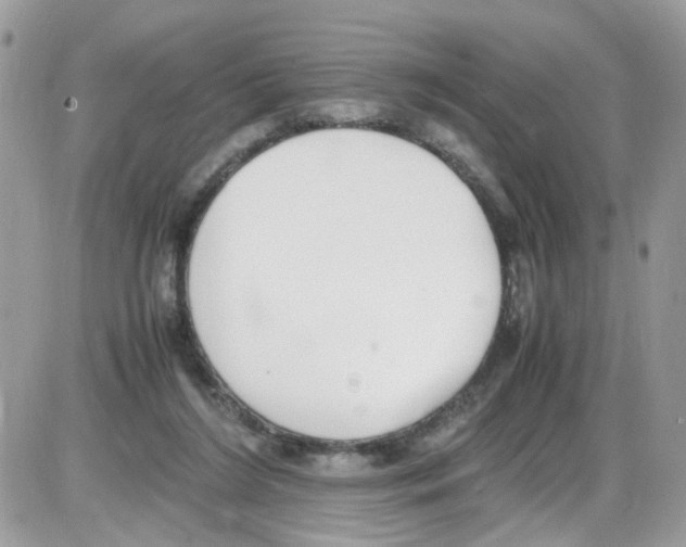 X0000086110212200704202314