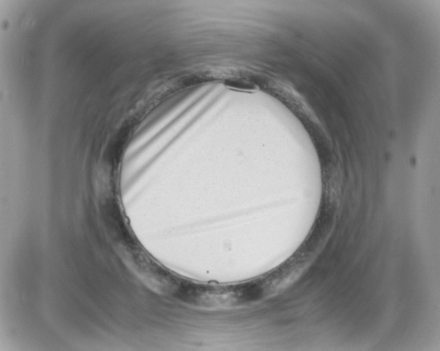 X0000086110213200704202314