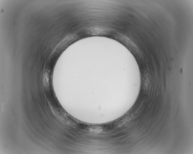 X0000086110214200704202314