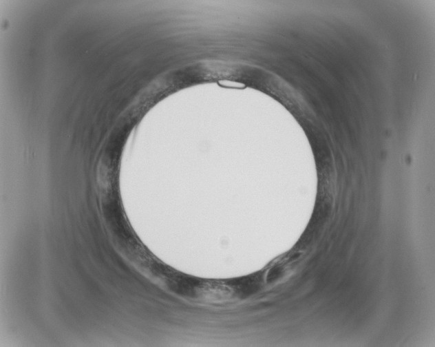 X0000086110215200704202314