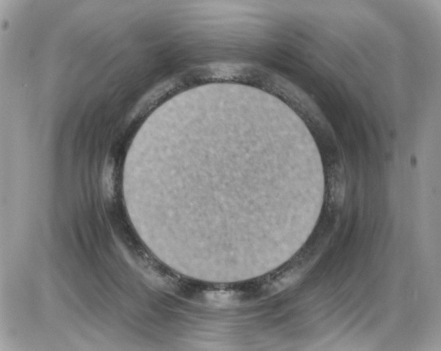 X0000086110216200704202314