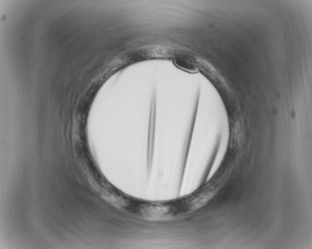 X0000086110217200704202314