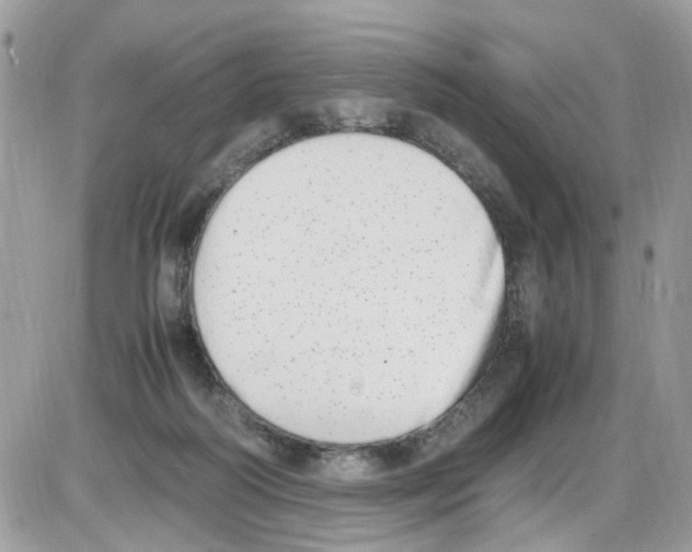 X0000086110218200704202314