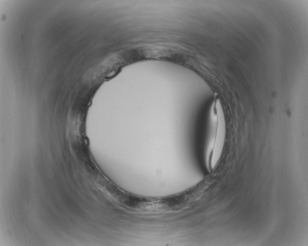 X0000086110219200704202314