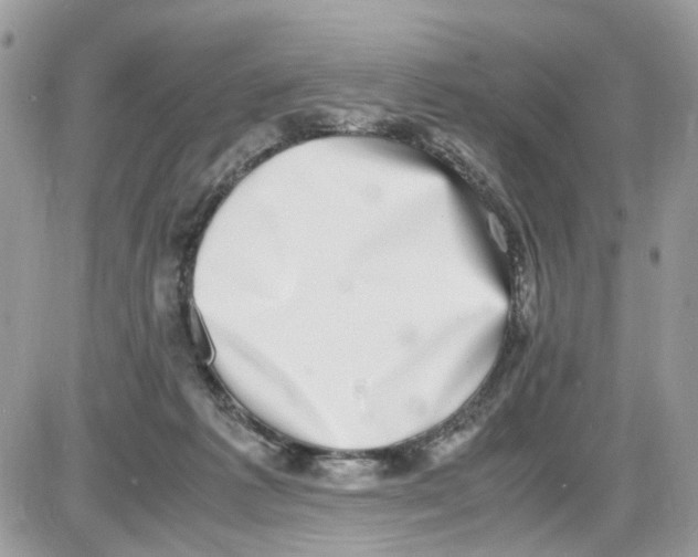 X0000086110221200704202314