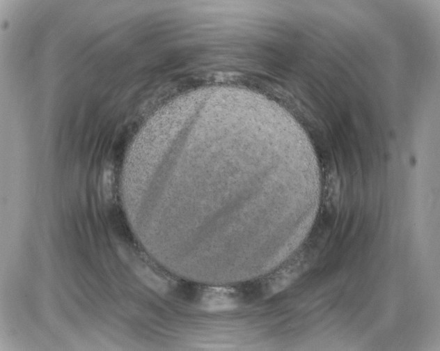 X0000086110222200704202314