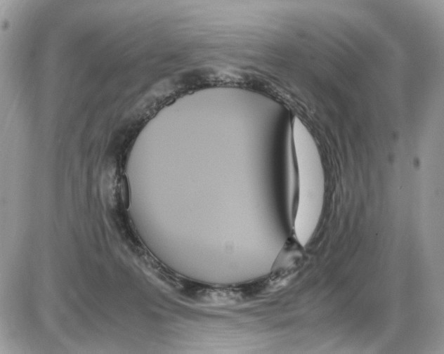 X0000086110223200704202314