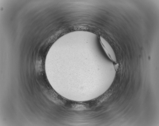 X0000086110224200704202314