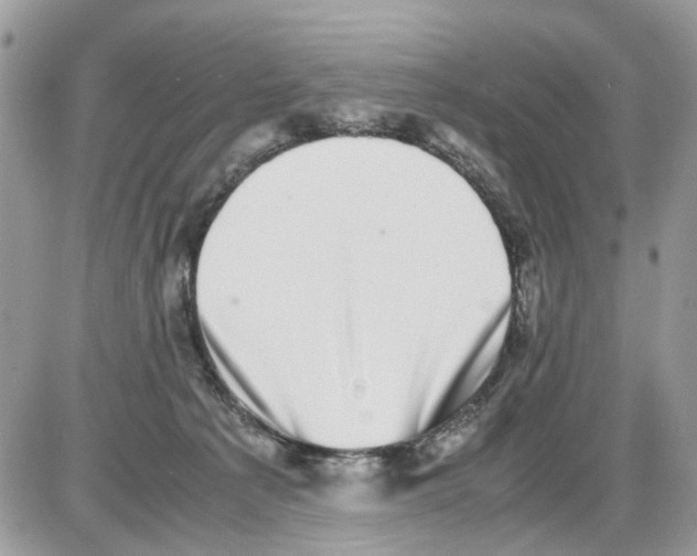 X0000086110225200704202314