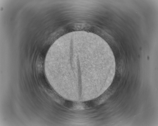 X0000086110226200704202314