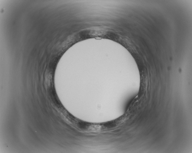 X0000086110227200704202314