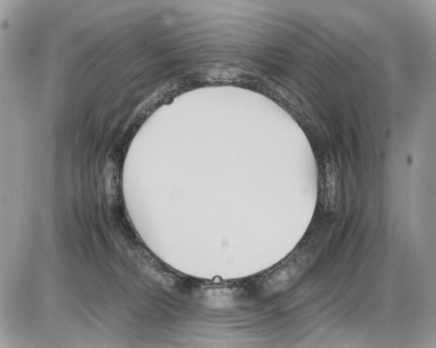 X0000086110228200704202314