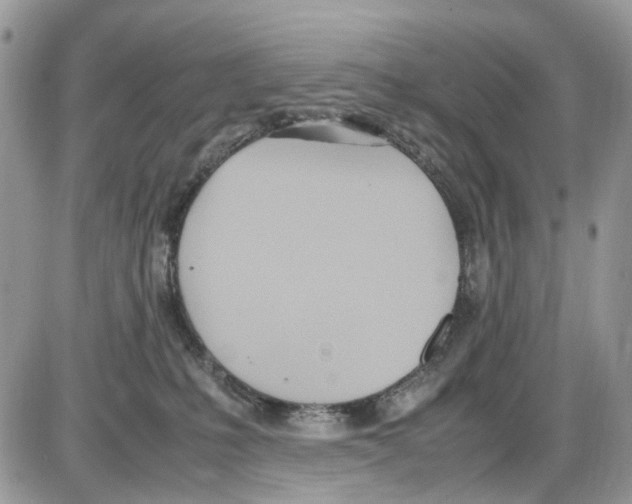 X0000086110231200704202314