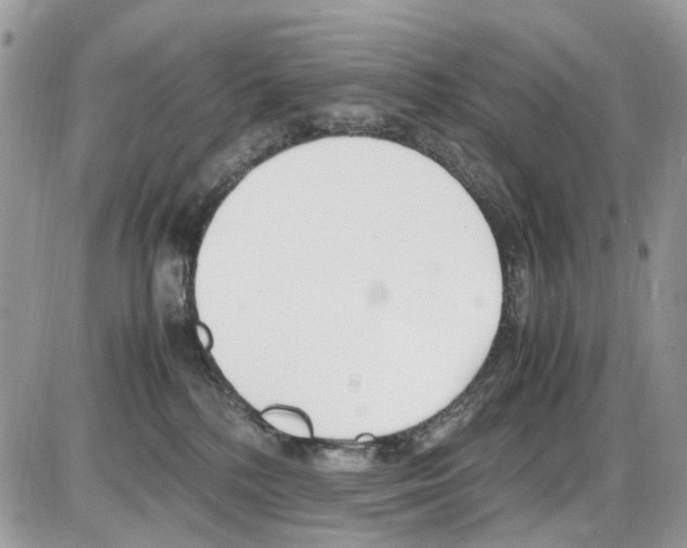 X0000086110232200704202314