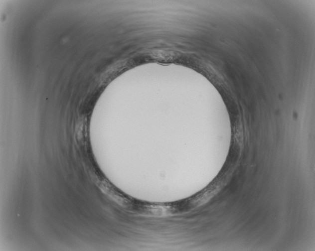 X0000086110233200704202313