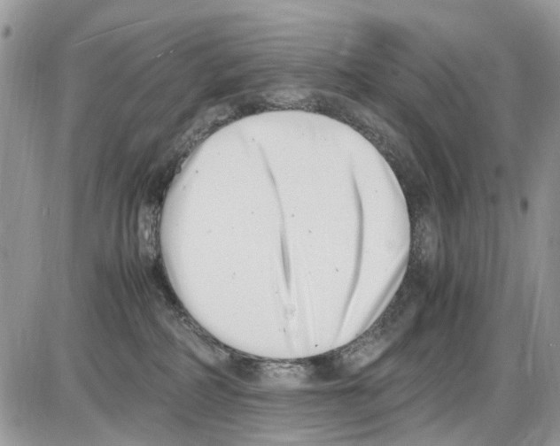 X0000086110234200704202313