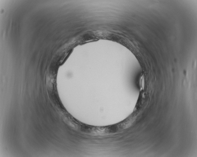 X0000086110235200704202313