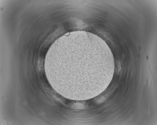 X0000086110236200704202313