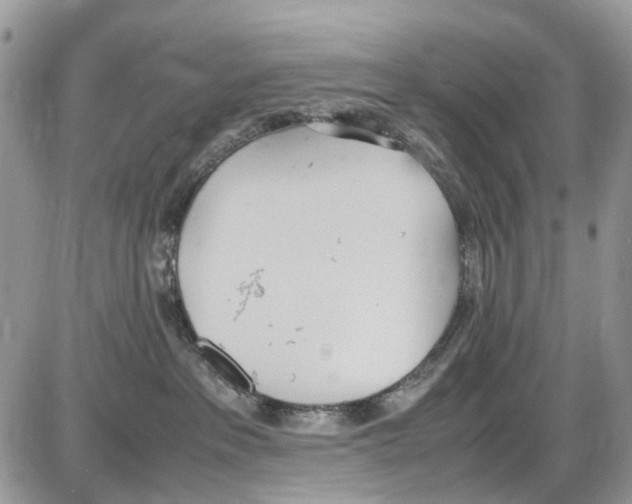 X0000086110237200704202313