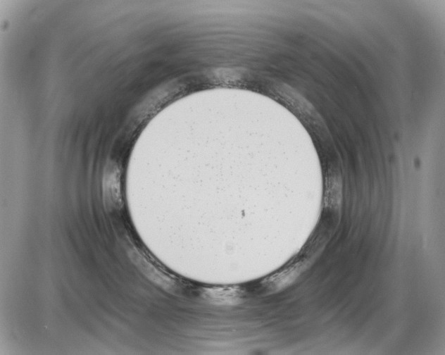 X0000086110238200704202313