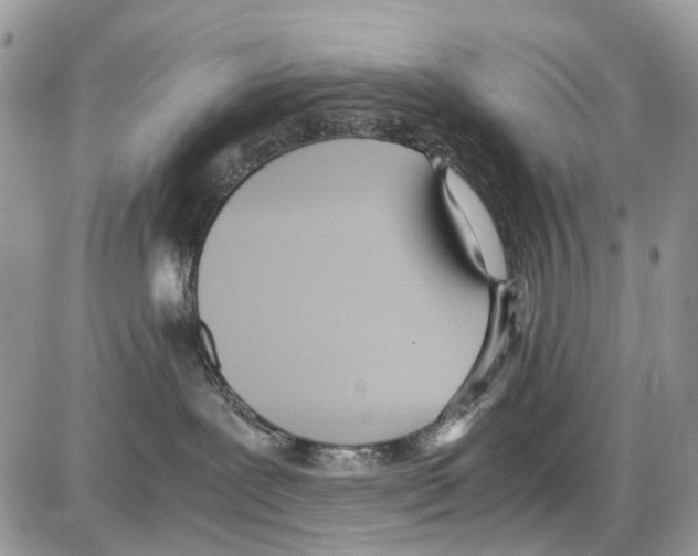 X0000086110239200704202313