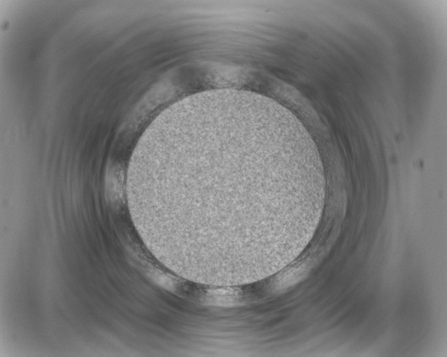 X0000086110240200704202313