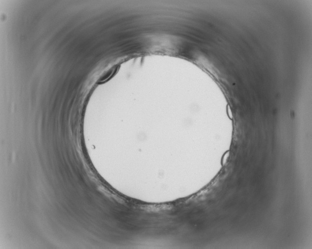 X0000086110241200704202313