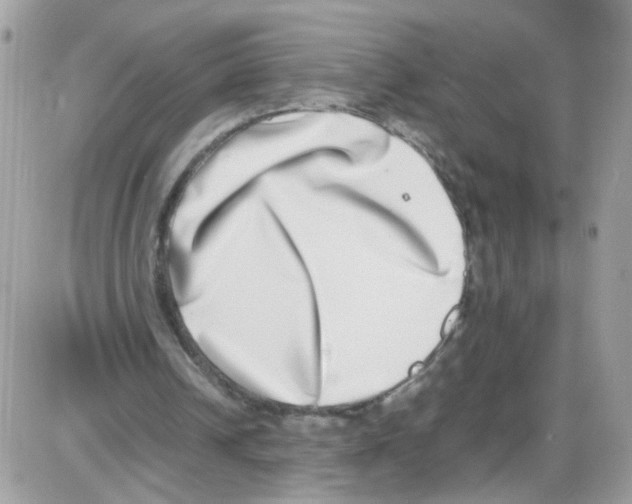 X0000086110242200704202313