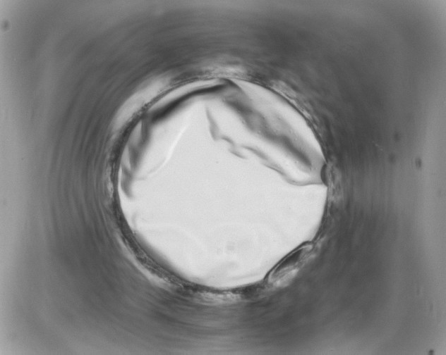 X0000086110245200704202313