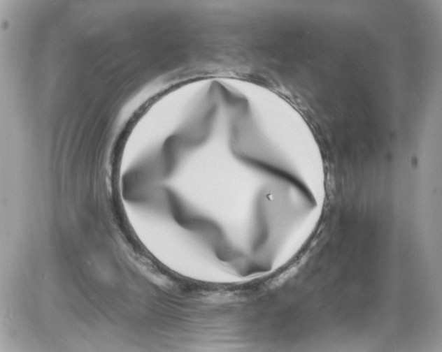 X0000086110246200704202313