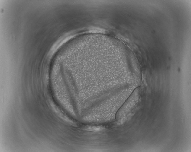 X0000086110247200704202313