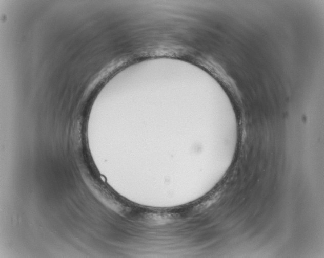 X0000086110250200704202313