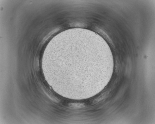 X0000086110251200704202313