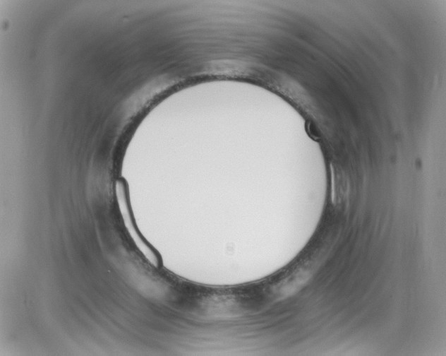 X0000086110252200704202313