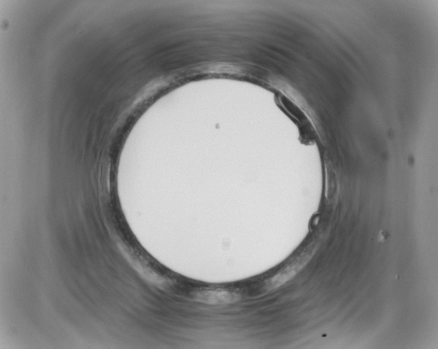 X0000086110253200704202313