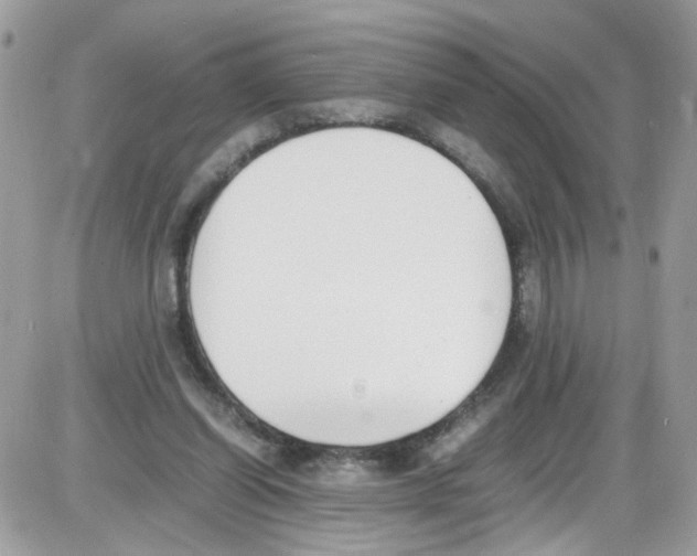 X0000086110254200704202313