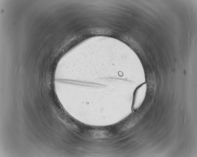 X0000086110255200704202313