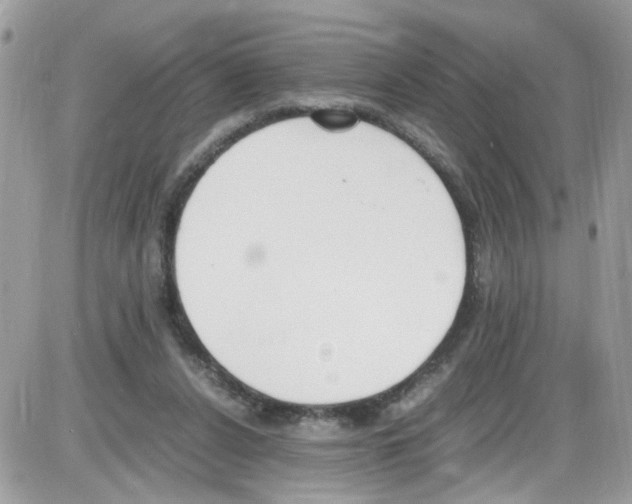 X0000086110256200704202313