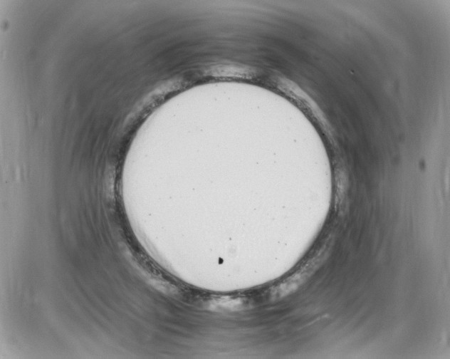 X0000086110257200704202313