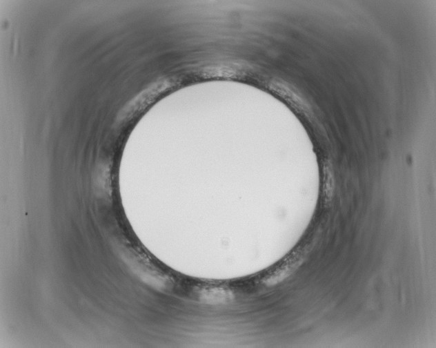 X0000086110258200704202313