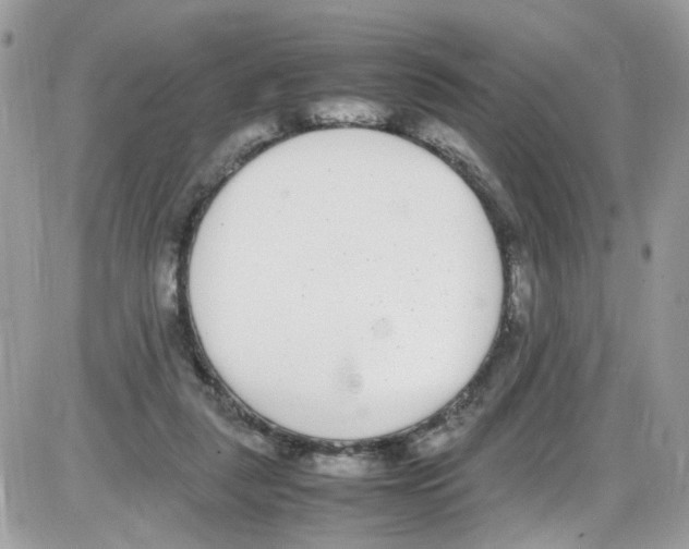 X0000086110259200704202313