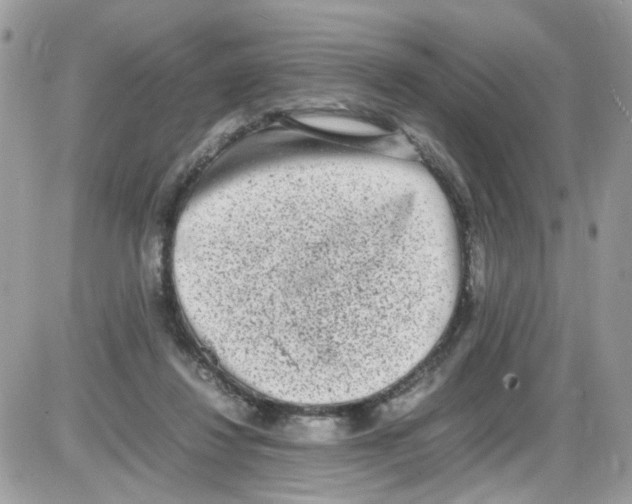 X0000086110260200704202313