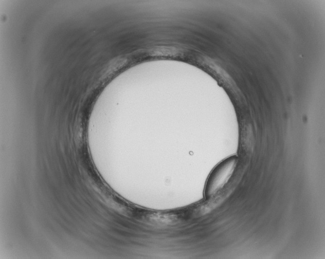 X0000086110261200704202313