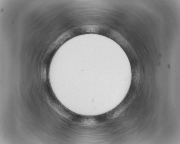 X0000086110262200704202313