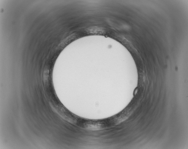 X0000086110263200704202313