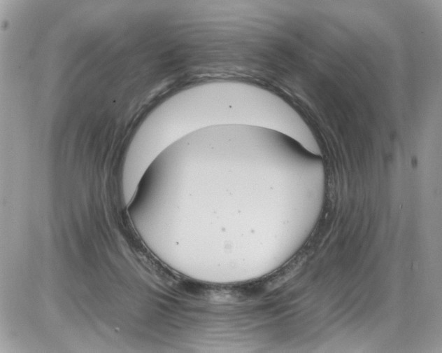 X0000086110264200704202313